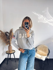Polo Ralph Lauren hoodie